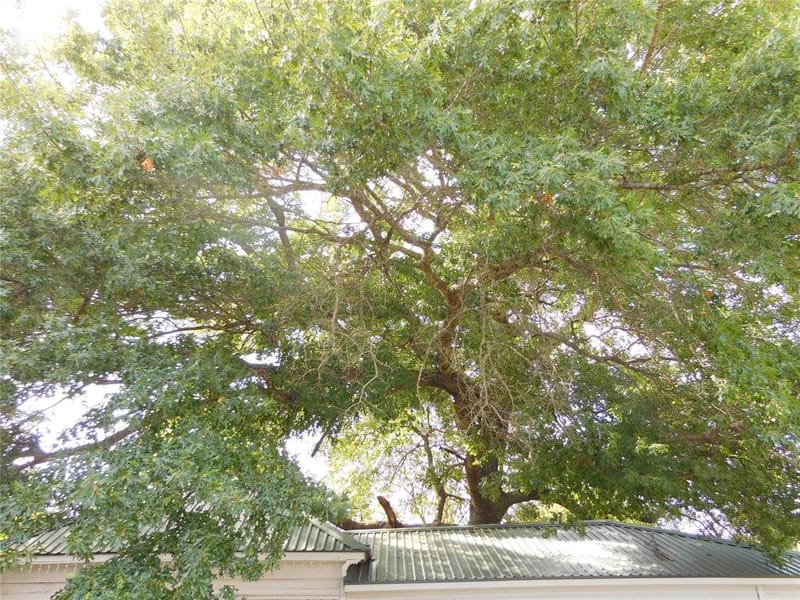 106 N 1st Street W, Dawson TX 76639 - Photo 36