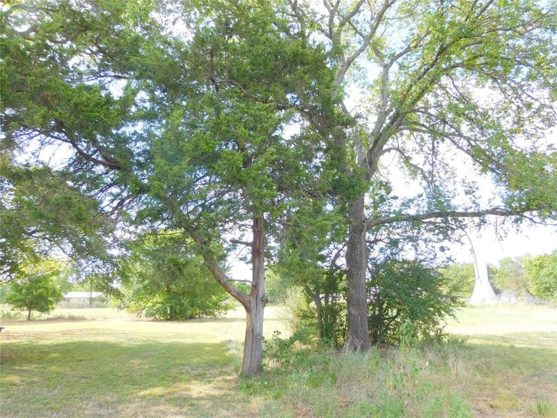106 N 1st Street W, Dawson TX 76639 - Photo 34