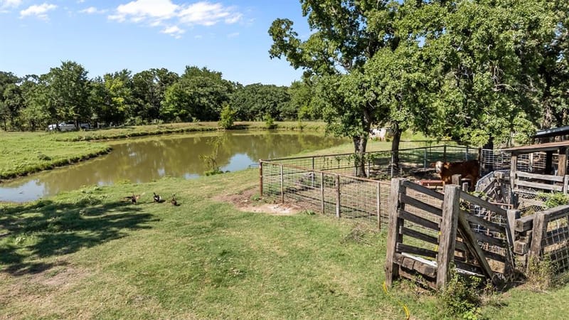 200 Cool Junction Road, Cool TX 76088 - Photo 8