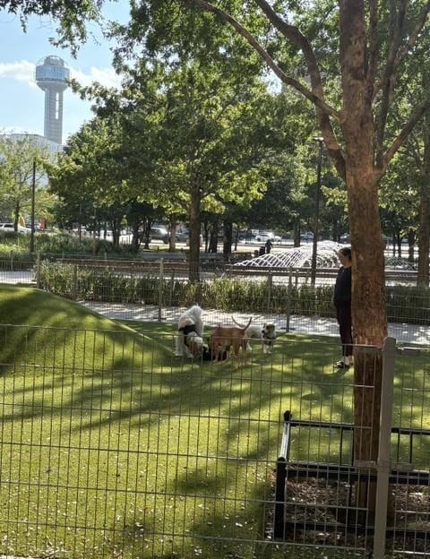 1200 Main Street # 1703, Dallas TX 75202 - Photo 34