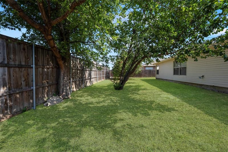 1024 Lake Trail Drive, Little Elm TX 75068 - Photo 24