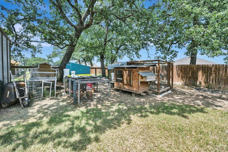 917 E 3rd Street, Springtown TX 76082 - Photo 30