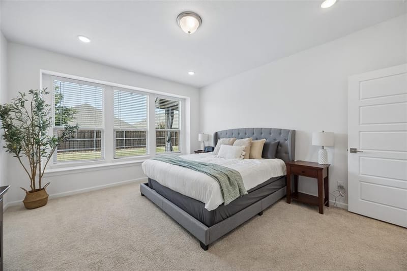 621 Hummingbird Drive, Celina TX 75009 - Photo 14