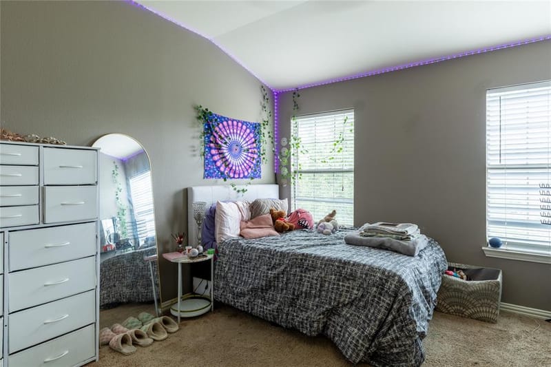 2529 Jacobson Drive, Lewisville TX 75067 - Photo 14