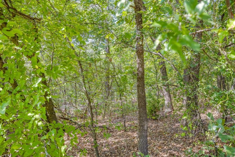 1129 Crazy Horse Trail, Burleson TX 76028 - Photo 39
