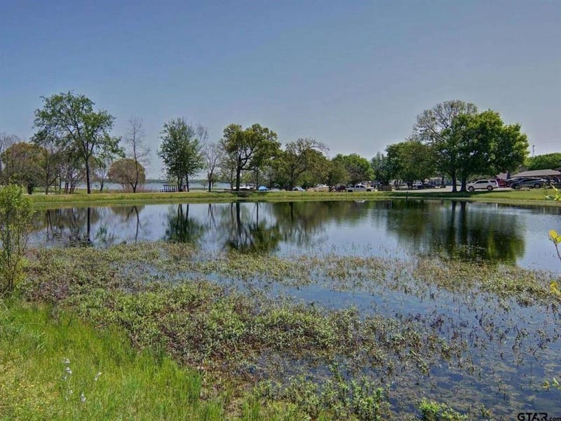 166 County Road 1559, Alba TX 75410 - Photo 32
