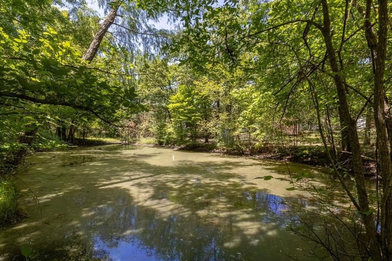 6966 CR 3512, Quinlan TX 75474 - Photo 3