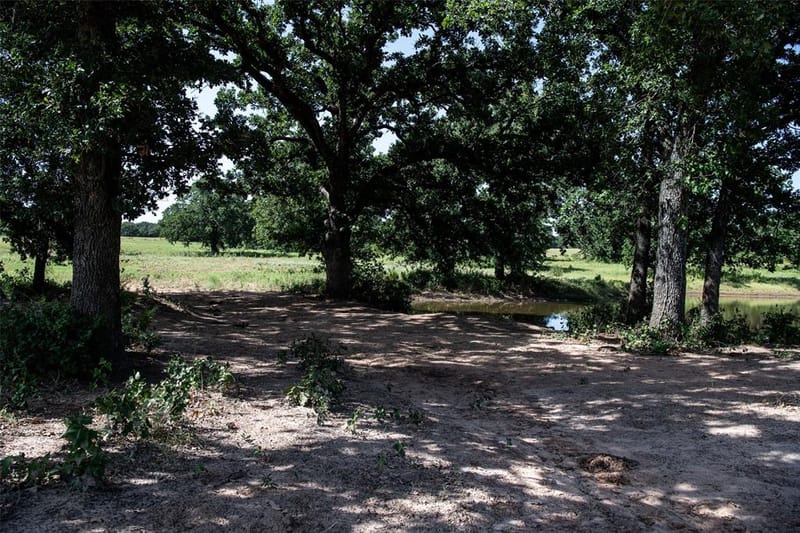 148 Private Road 169, Sunset TX 76270 - Photo 16