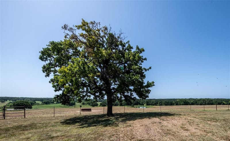 148 Private Road 169, Sunset TX 76270 - Photo 36