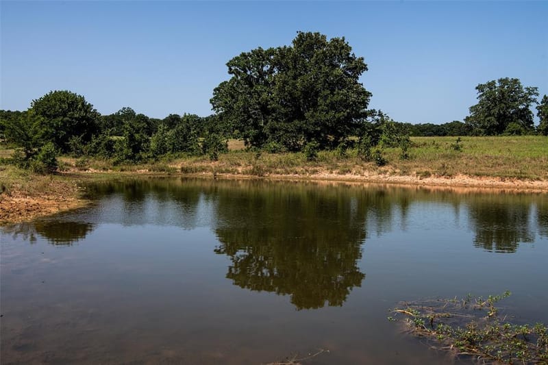 148 Private Road 169, Sunset TX 76270 - Photo 5