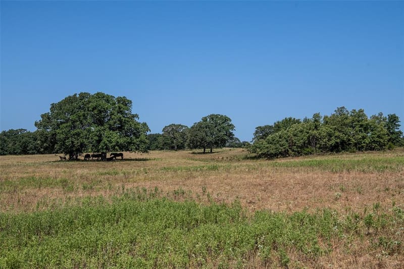 148 Private Road 169, Sunset TX 76270 - Photo 20