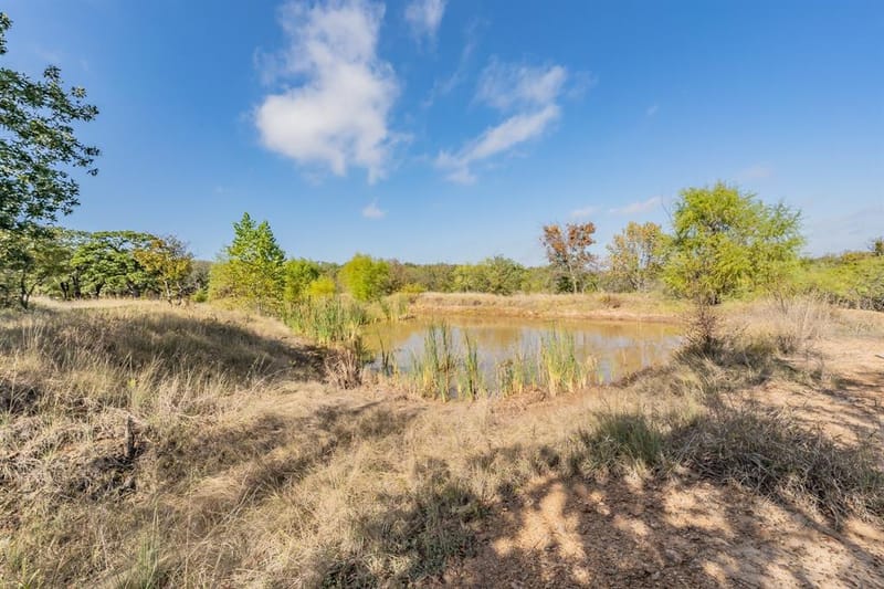 417 Wood River Road, Millsap TX 76066 - Photo 14