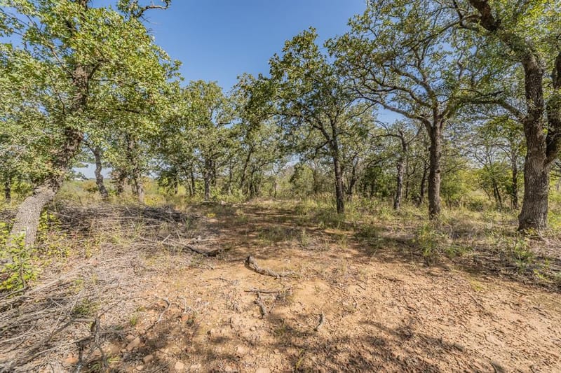 417 Wood River Road, Millsap TX 76066 - Photo 15