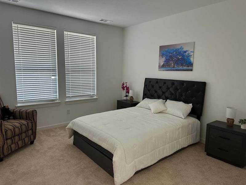 2832 Lolita Way, Forney TX 75126 - Photo 19