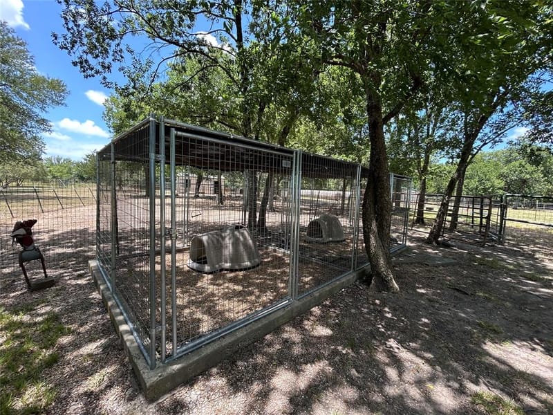 2200 Creechville Road, Ennis TX 75119 - Photo 22