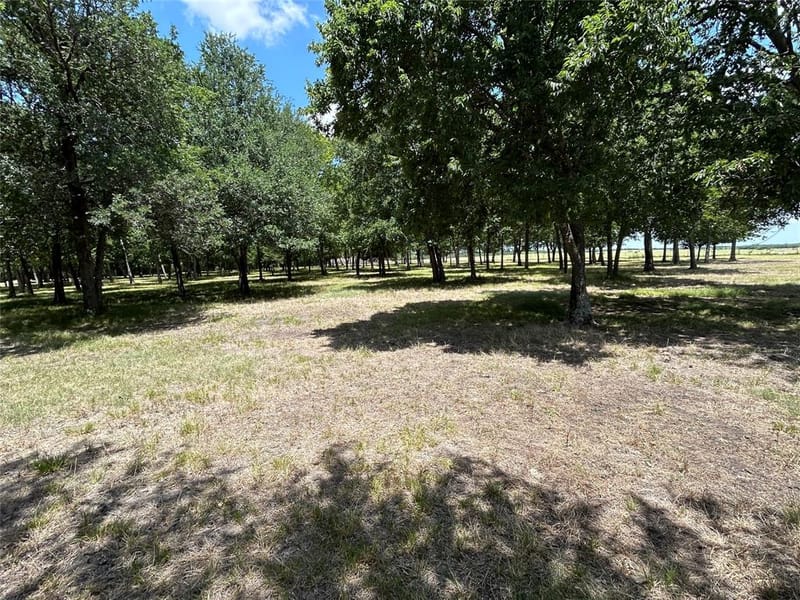 2200 Creechville Road, Ennis TX 75119 - Photo 20
