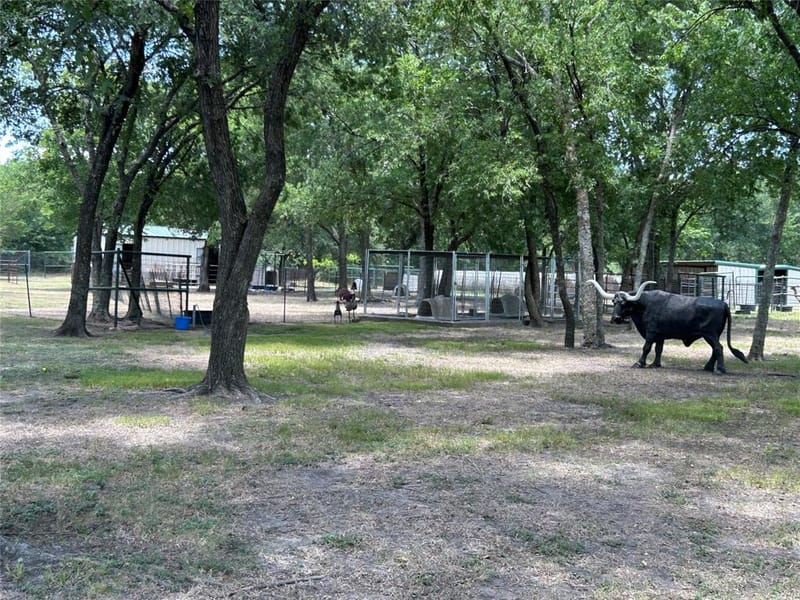 2200 Creechville Road, Ennis TX 75119 - Photo 19