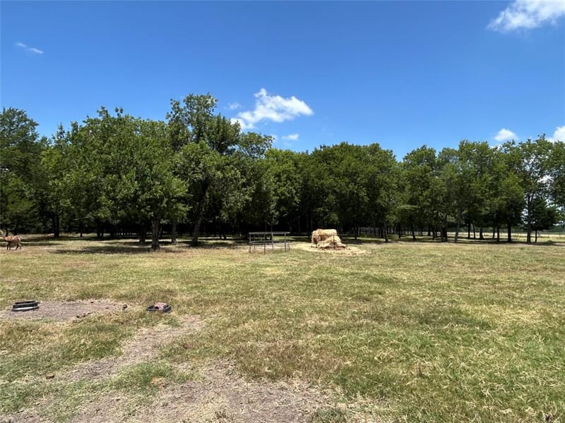 2200 Creechville Road, Ennis TX 75119 - Photo 21