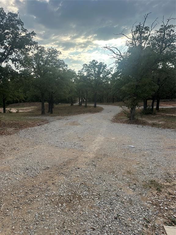 362 County Road 1270, Alvord TX 76225 - Photo 3
