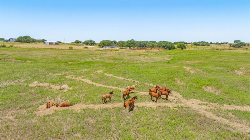 100 - A County Road 519, Stephenville TX 76401 - Photo 18