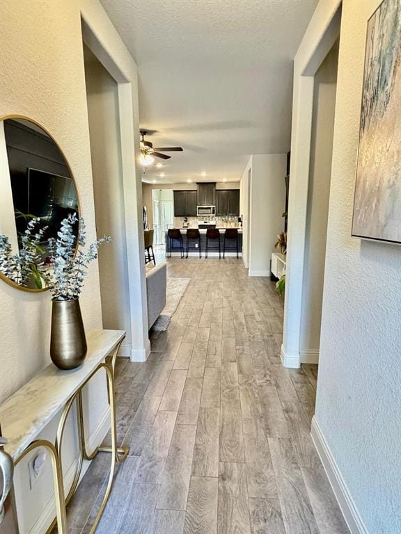 7012 Wildflower Way, Little Elm TX 76227 - Photo 10