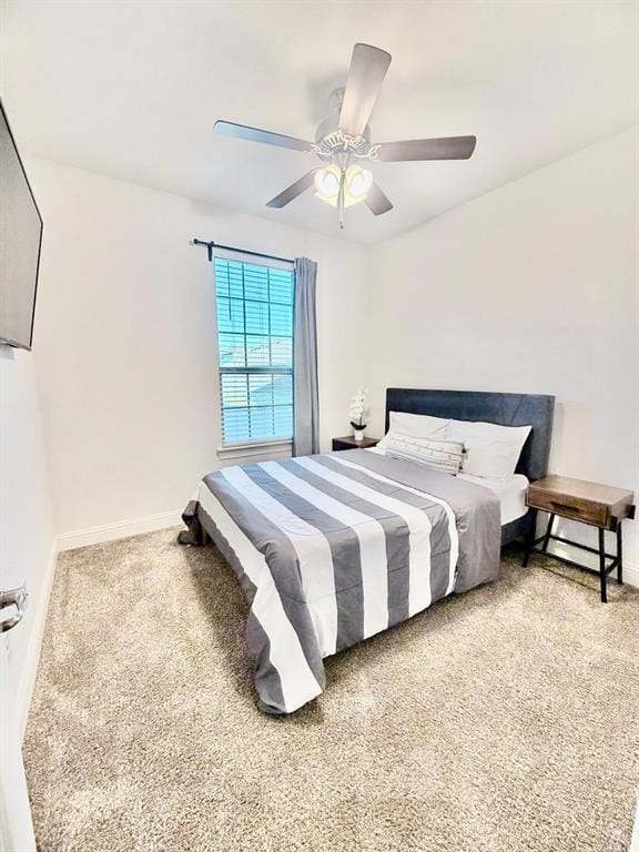 7012 Wildflower Way, Little Elm TX 76227 - Photo 18