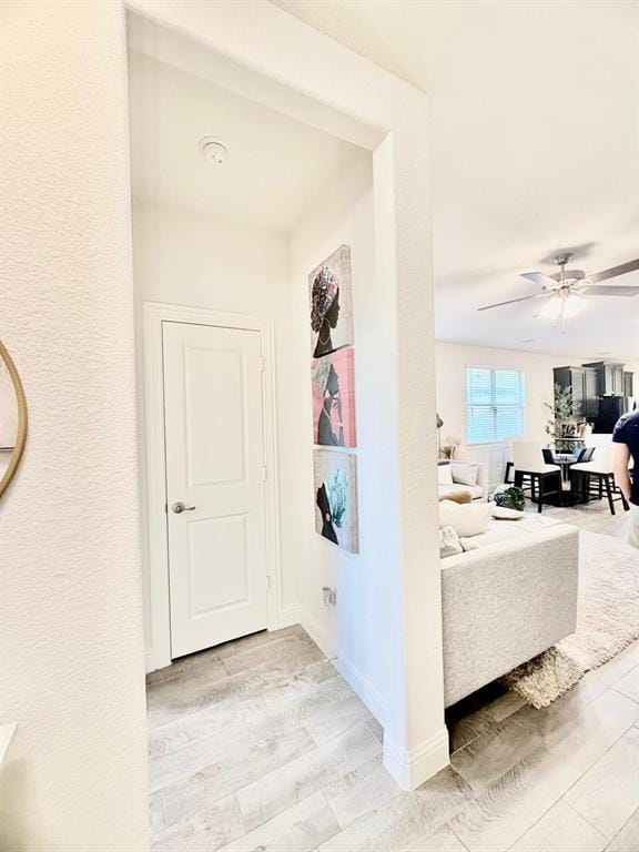 7012 Wildflower Way, Little Elm TX 76227 - Photo 15