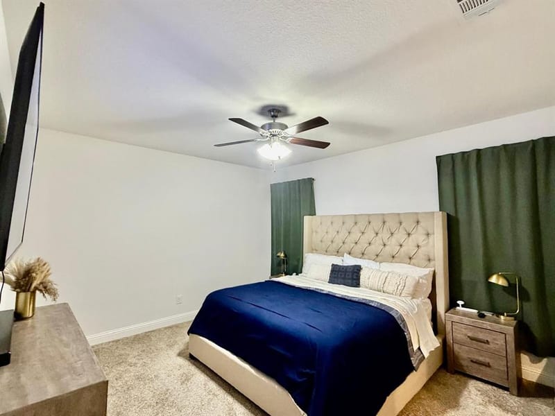 7012 Wildflower Way, Little Elm TX 76227 - Photo 11