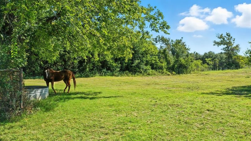 5929 County Road 371, Dublin TX 76446 - Photo 38