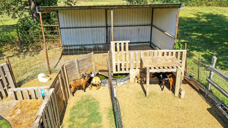 5929 County Road 371, Dublin TX 76446 - Photo 37