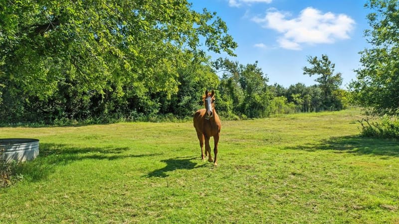 5929 County Road 371, Dublin TX 76446 - Photo 39