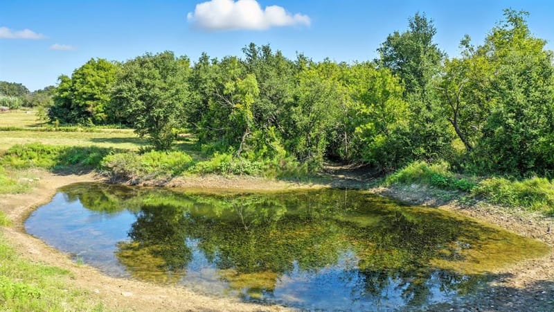 5929 County Road 371, Dublin TX 76446 - Photo 29