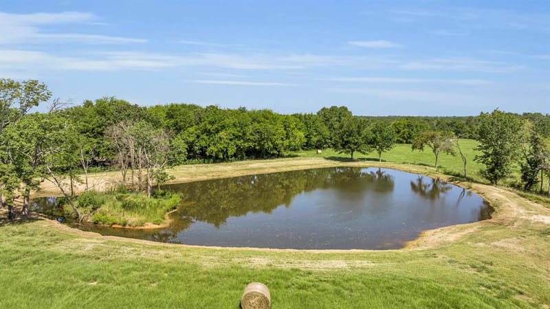 365 County Road 1534, Alba TX 75410 - Photo 7