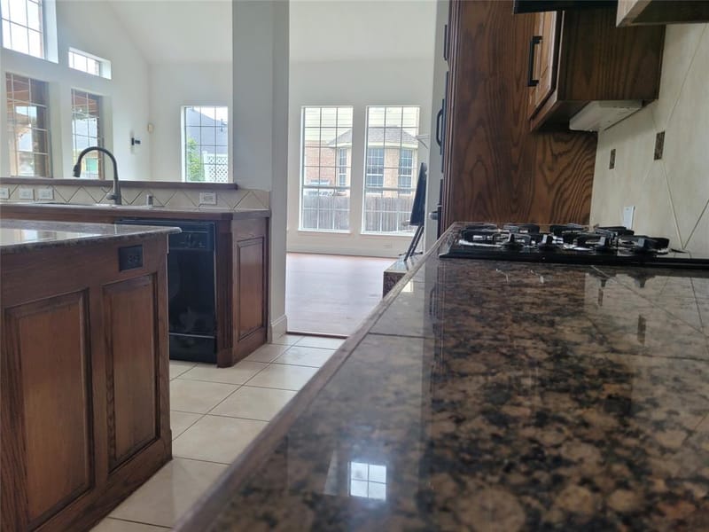 4509 Brittany Drive, Rowlett TX 75088 - Photo 19