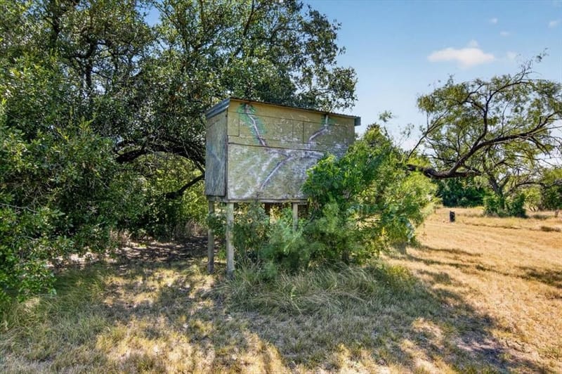 910 Star Lane, Gatesville TX 76528 - Photo 34