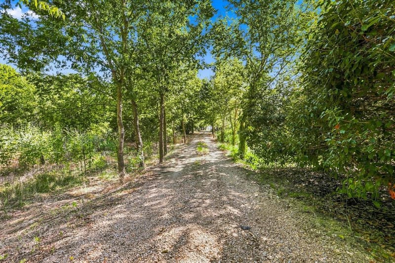6103 W Highway 175, Kaufman TX 75142 - Photo 3