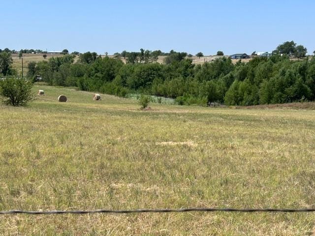 195 Whitworth Road, Whitewright TX 75491 - Photo 39