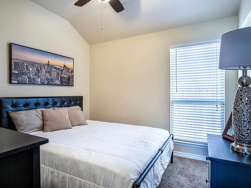 8800 Deadwood Lane, Aubrey TX 76227 - Photo 18