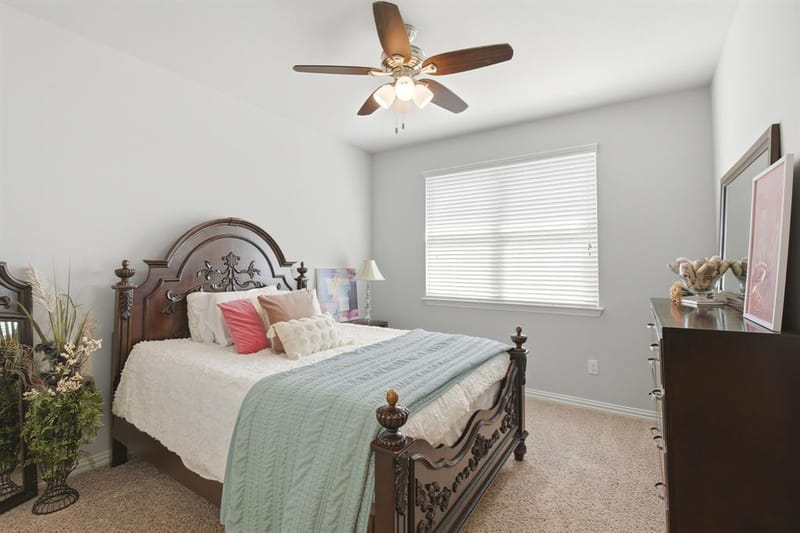 320 Dianna Drive, Prosper TX 75078 - Photo 23