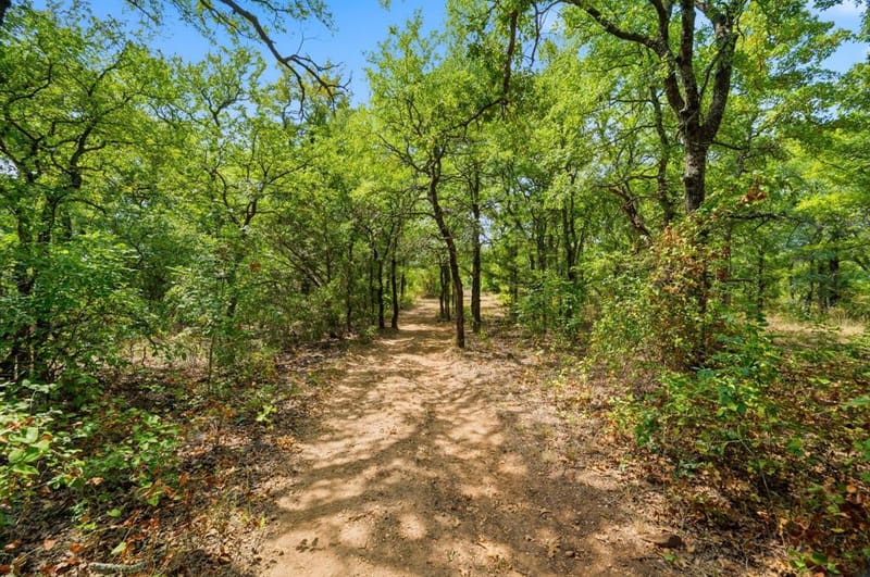 1226 County Road 1990, Chico TX 76431 - Photo 40