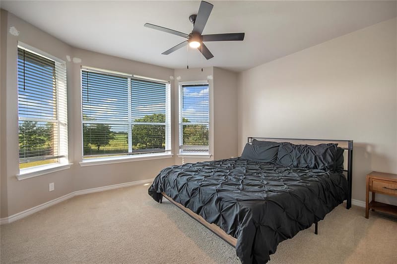 4701 Lake Drive, Celina TX 75009 - Photo 27