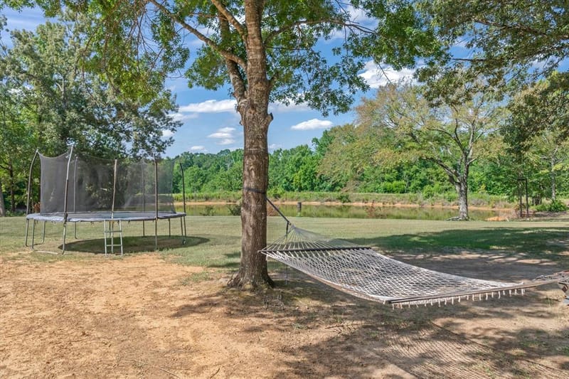 490 VZ County Road 1711 Road, Grand Saline TX 75140 - Photo 33