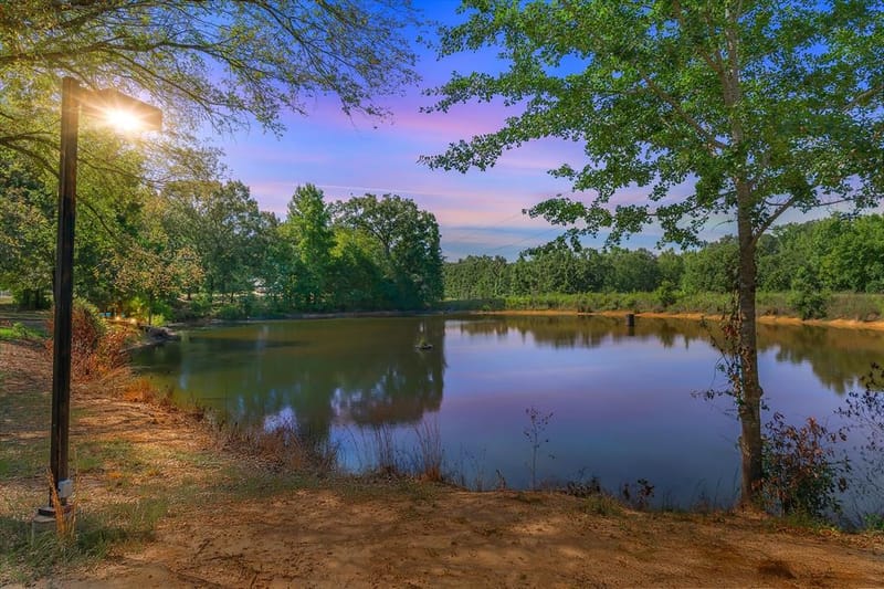 490 VZ County Road 1711 Road, Grand Saline TX 75140 - Photo 4