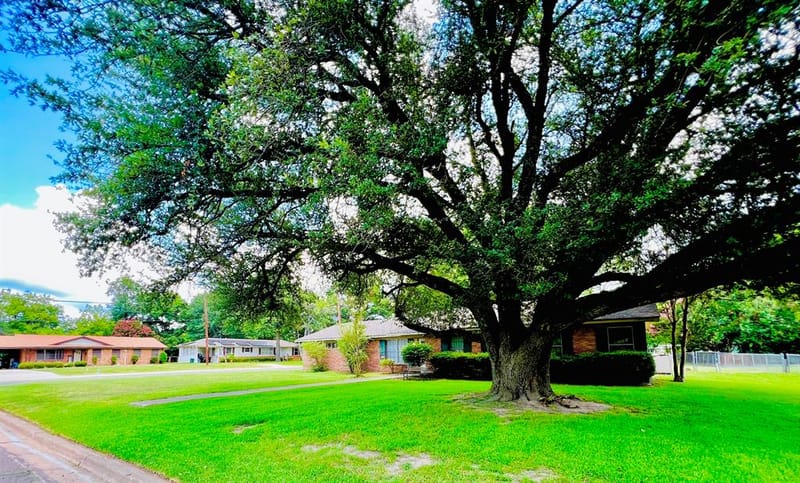 114 Harred Street, Sulphur Springs TX 75482 - Photo 4