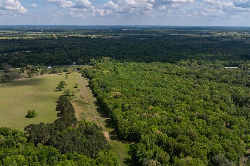 3672 FM 1861, Athens TX 75752 - Photo 6