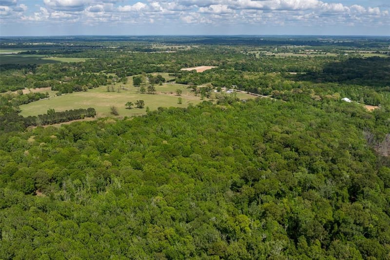 3672 FM 1861, Athens TX 75752 - Photo 5