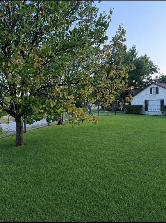 648 County Road 1591, Sunset TX 76270 - Photo 17