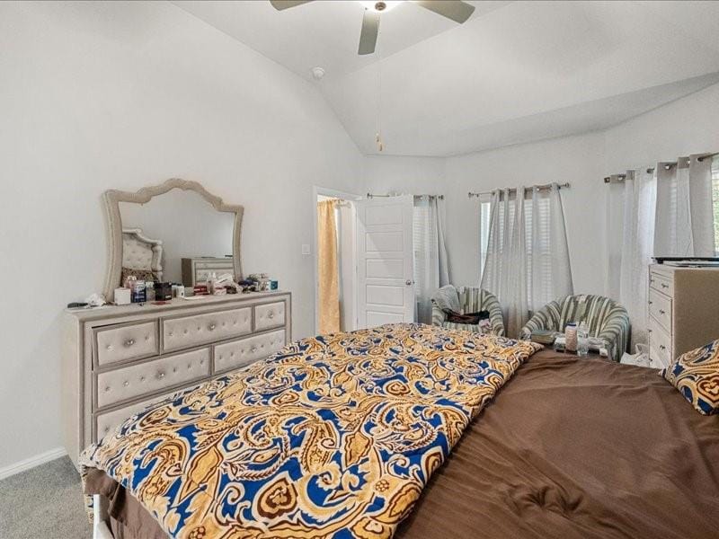 1215 Putnam Street, Mansfield TX 76063 - Photo 15