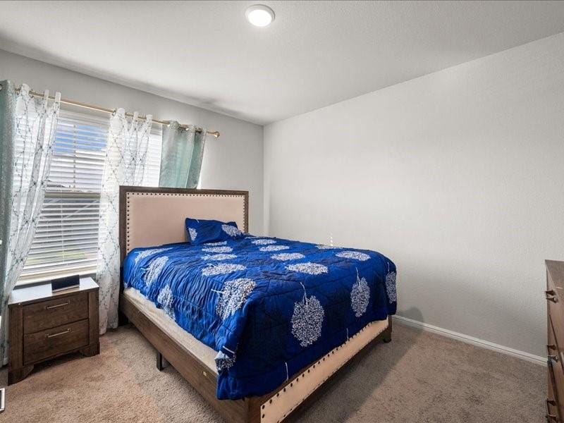 1215 Putnam Street, Mansfield TX 76063 - Photo 19