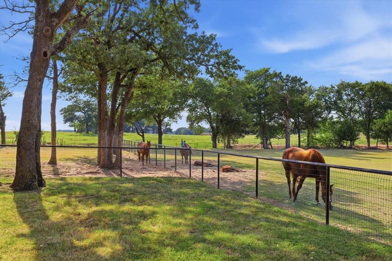 12 County Road 2114, Gainesville TX 76240 - Photo 23